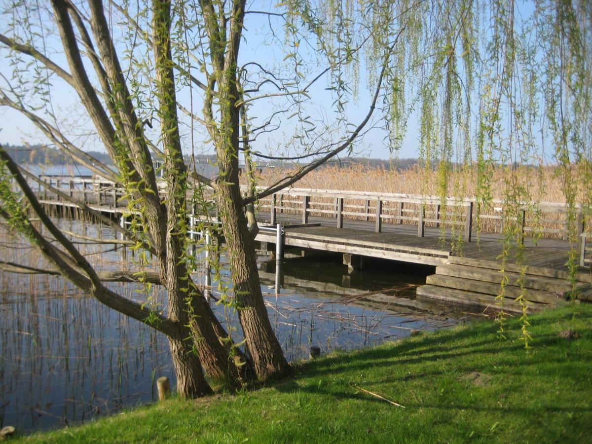 Schloss-Und Seeblick Apartment Rheinsberg Zewnętrze zdjęcie